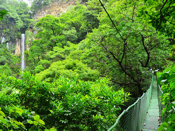 Experienca Buena Vista Tour de 1 Día photo 4