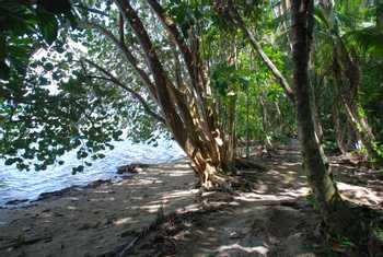Costa Rica Tours: Cahuita National Park Hiking