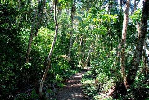 Costa Rica Tours: Cahuita National Park Hiking