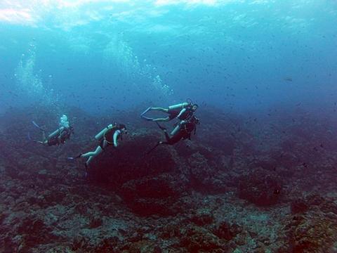 Tour de buceo en Isla del Caño