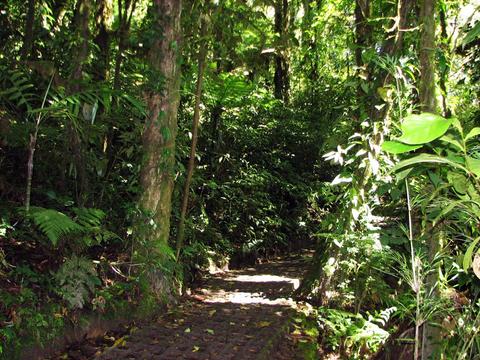 Tour de canopy y puentes colgantes Costa Rica