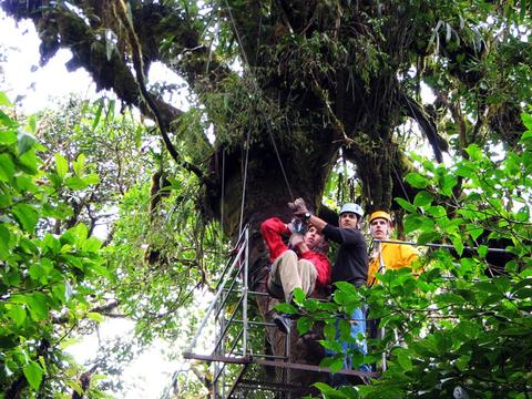 Selvatura Canopy Tour and Suspension Bridges Costa Rica