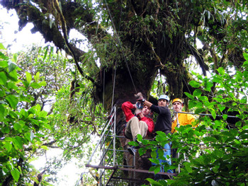 Selvatura Canopy Tour and Suspension Bridges photo 4