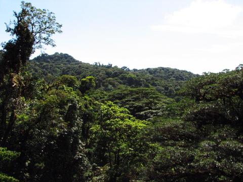 Selvatura Canopy Tour and Suspension Bridges Costa Rica