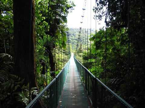 Selvatura Canopy Tour and Suspension Bridges Costa Rica