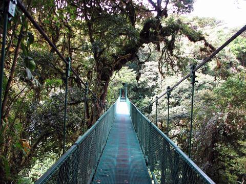 Selvatura Canopy Tour and Suspension Bridges Costa Rica
