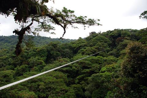 Selvatura Canopy Tour and Suspension Bridges Costa Rica