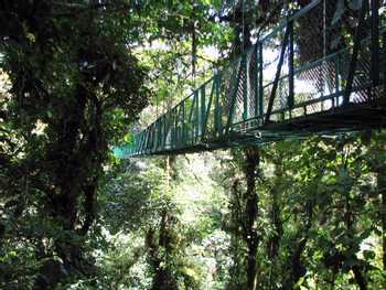 Selvatura Canopy Tour and Suspension Bridges