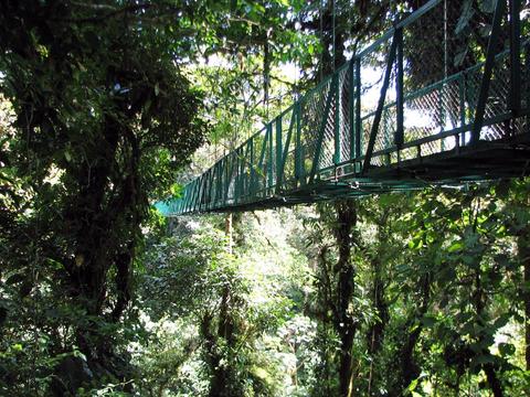 Selvatura Canopy Tour and Suspension Bridges Costa Rica