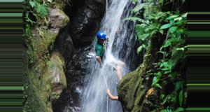 Costa Rica Spider Monkey Canyon