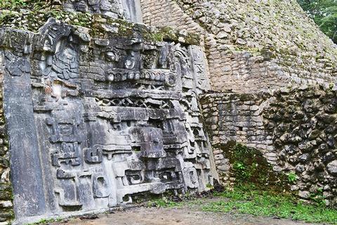 Caracol Mayan Temple Belize