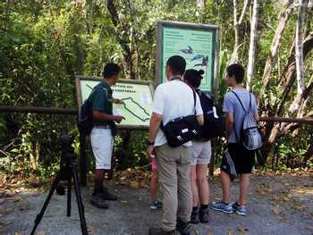 Carara National Park Tour