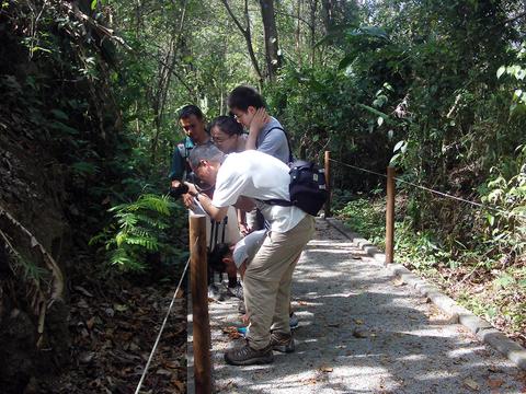 Carara National Park Tour Costa Rica