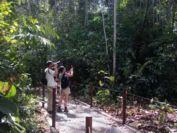 Carara National Park Tour