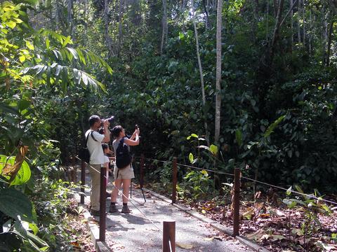 Carara National Park Tour Costa Rica