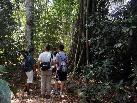 Tour del Parque Nacional Carara