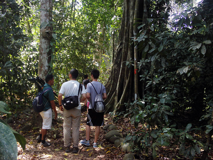 Carara National Park Tour photo