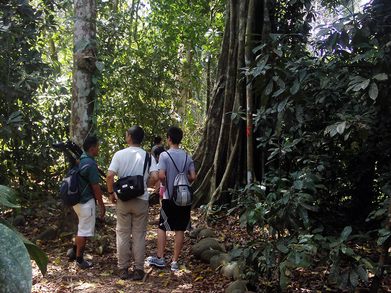Carara National Park Tour photo