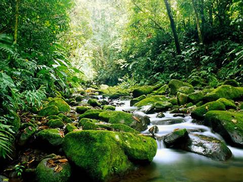 Carara National Park Tour Costa Rica