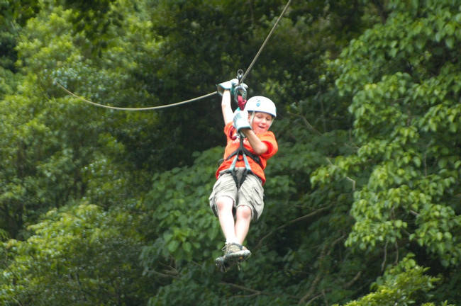 Canopy Tour en el Caribe photo