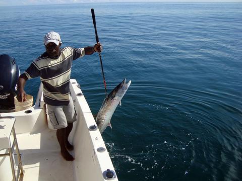 Caribbean Fishing