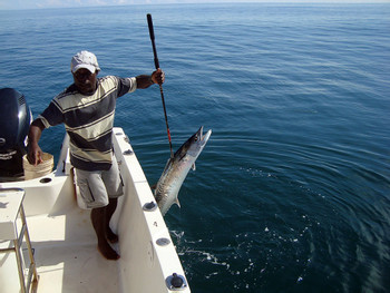 Caribbean Fishing photo 3