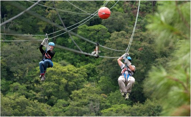 Canopy Antigua-CS photo