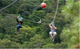 Canopy Antigua-CS