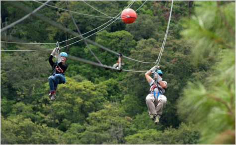 Canopy Antigua-CS