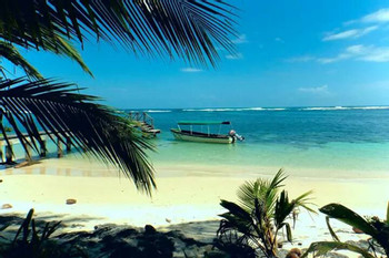 Tour de un día Cayo Zapatilla photo 2
