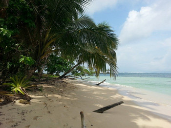 Tour de un día Cayo Zapatilla photo 4