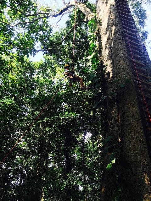 Ceiba Rappel