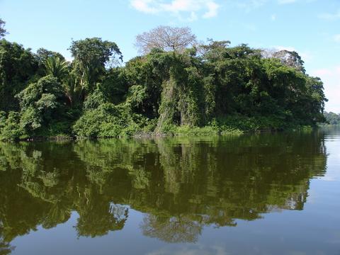 Ceibal y Río La Pasión