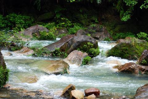 The Rio Celeste Adventure Costa Rica