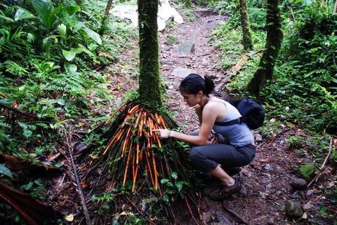 The Rio Celeste Adventure Costa Rica