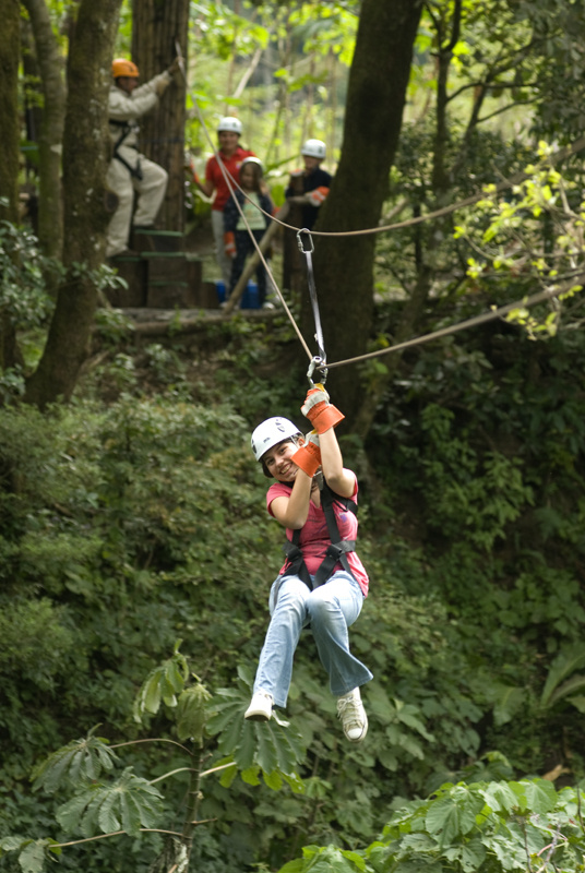 Desafiante tour de canopy photo