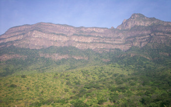 Chaparri Nature Reserve Full Day Tour photo 4