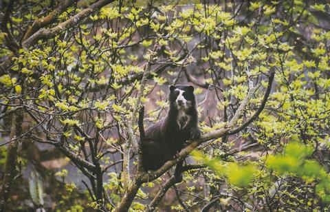 Chaparri Nature Reserve Full Day Tour