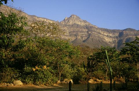 Chaparri Nature Reserve Full Day Tour Peru
