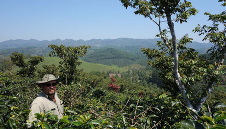 Chicoj Coffee Tour