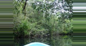Guatemala Chocón Machacas Biotope