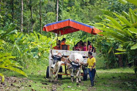 Tour de un día en Cinco Ceibas Costa Rica