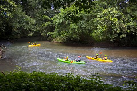 Cinco Ceibas Full Day Tour