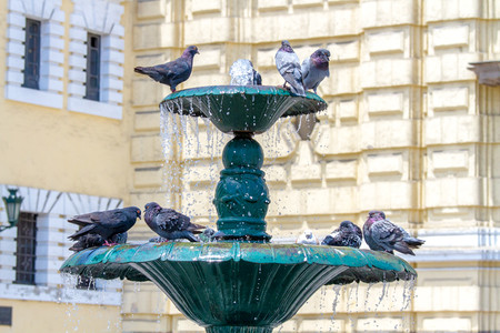 City Tour photo 3