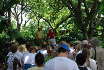 The Classic Britt Coffee Tour photo 5