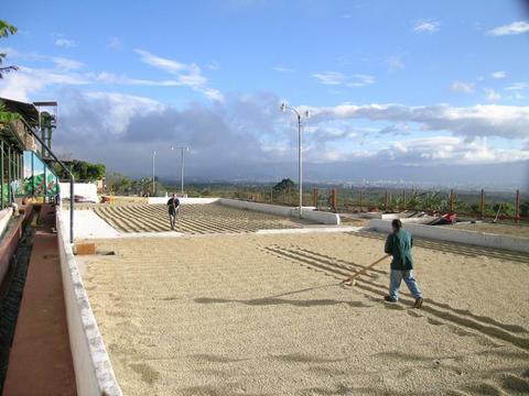 The Classic Britt Coffee Tour Costa Rica
