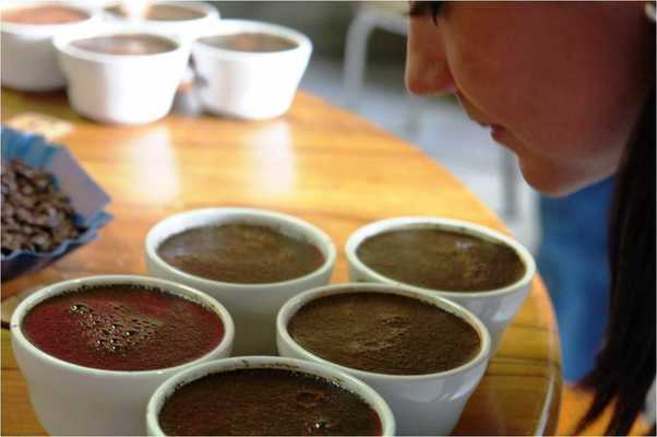 Coffee Cupping Tour