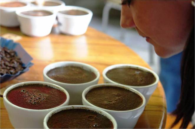 Coffee Cupping Tour, Panama