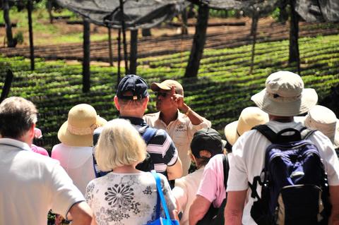 Filadelfia Coffee Tour