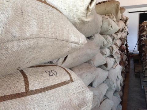 Filadelfia Coffee Tour Guatemala